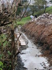 Pungart Gornja Košana (1)